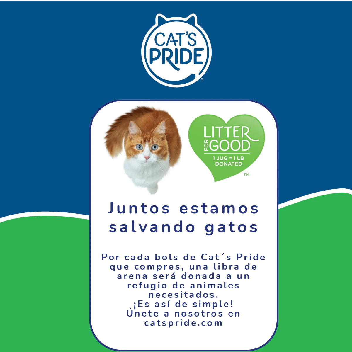 Cats Pride Scented total odor control / Arena para gato Aglutinante / Controla olores al instante / 6.8 kg