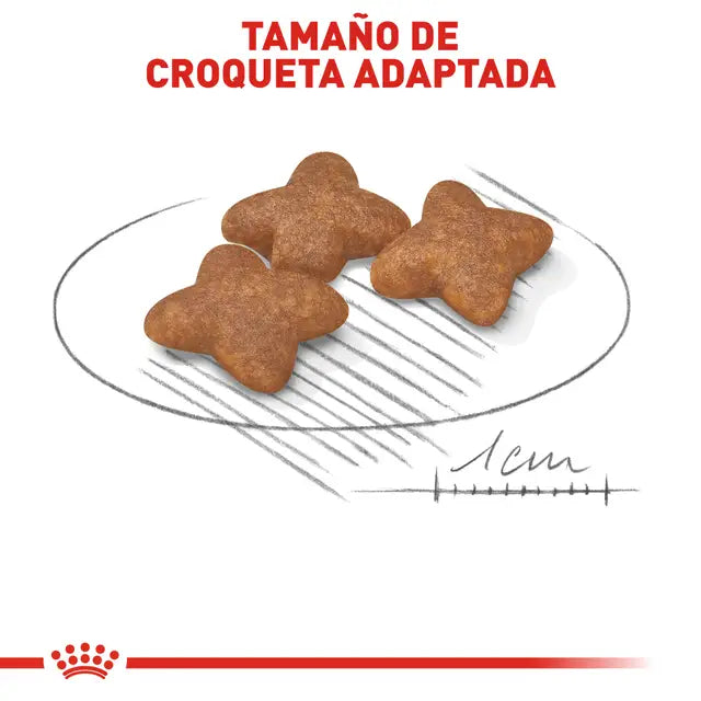Royal Canin Adulto Raza Pequeña – Alimento Seco para Perro