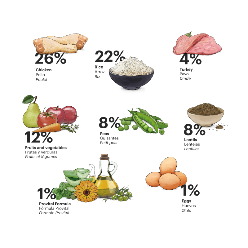 Alimento para perro / Gosbi Exclusive adulto / Pollo y pescado / 12 kg