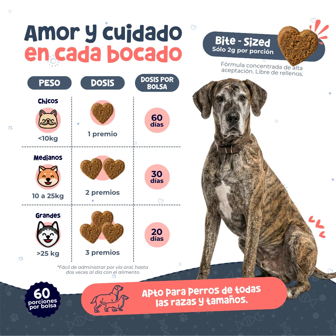 Waggy’s NAD+ – Suplemento de Vitalidad y Envejecimiento Saludable para Perros