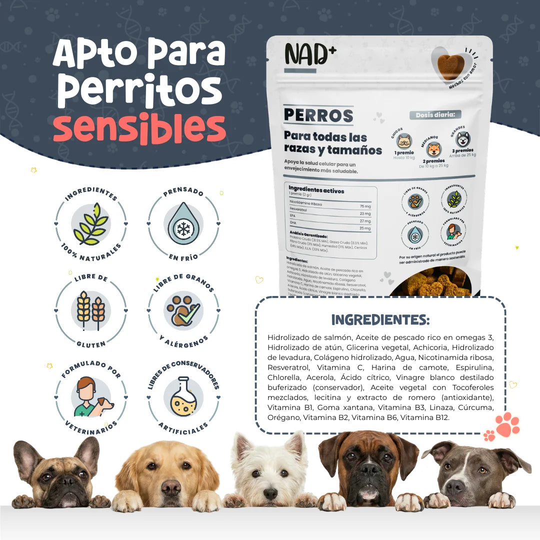 Waggy’s NAD+ – Suplemento de Vitalidad y Envejecimiento Saludable para Perros
