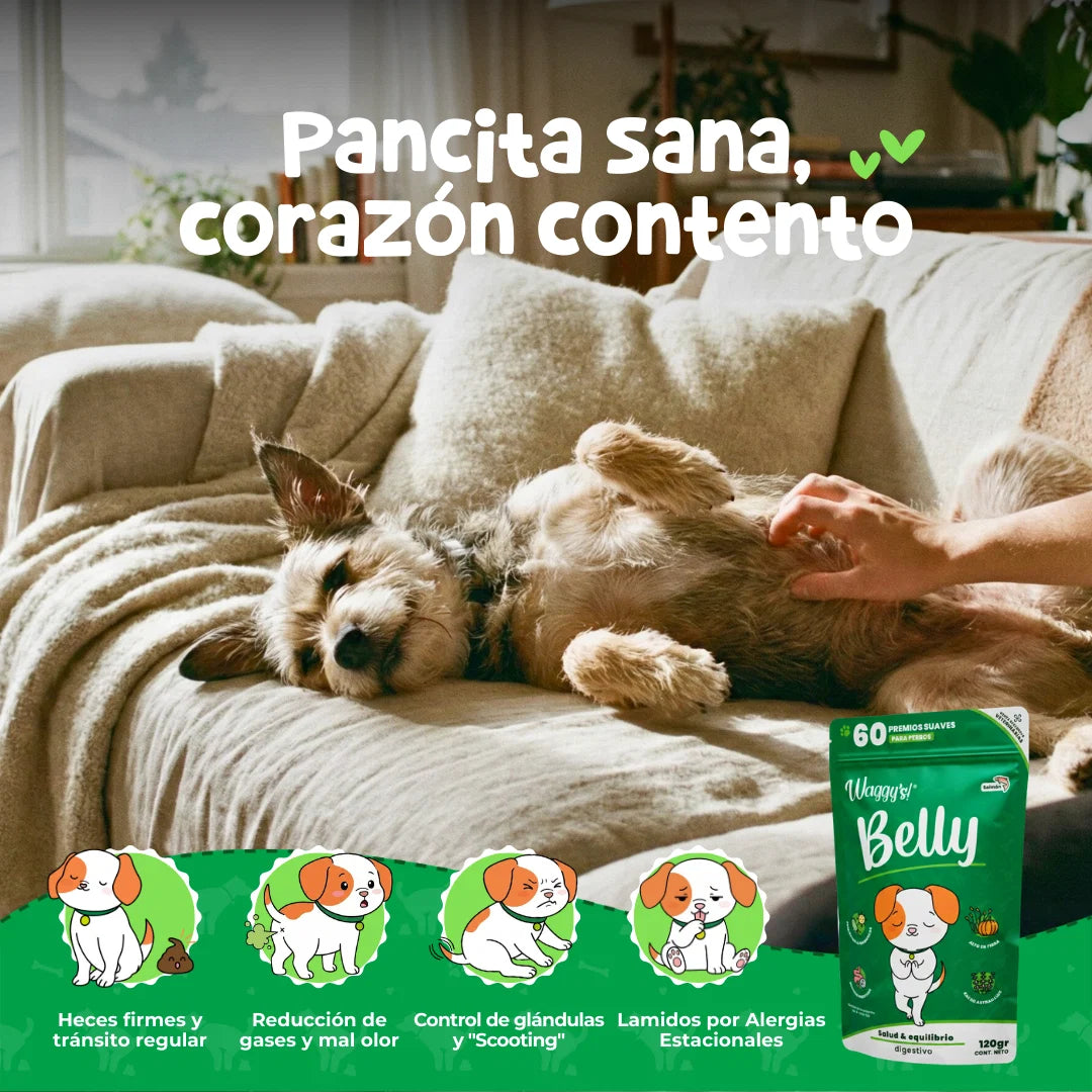 Waggy’s Belly – Probióticos para Digestión y Alergias en Perros
