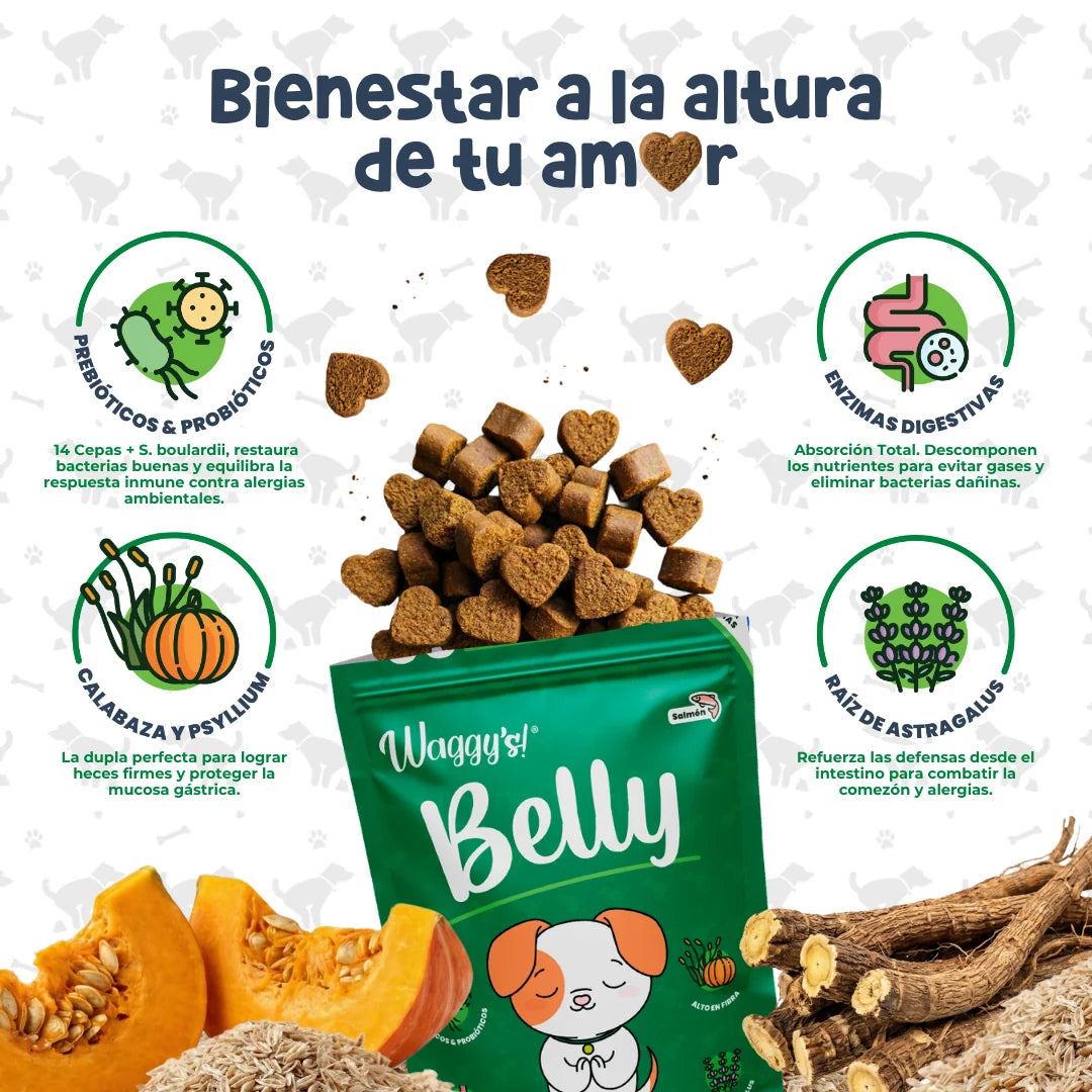Waggy’s Belly – Probióticos para Digestión y Alergias en Perros
