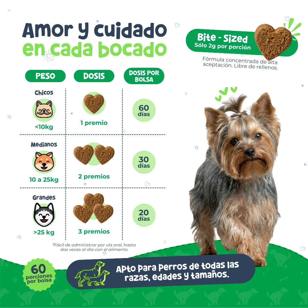 Waggy’s Belly – Probióticos para Digestión y Alergias en Perros