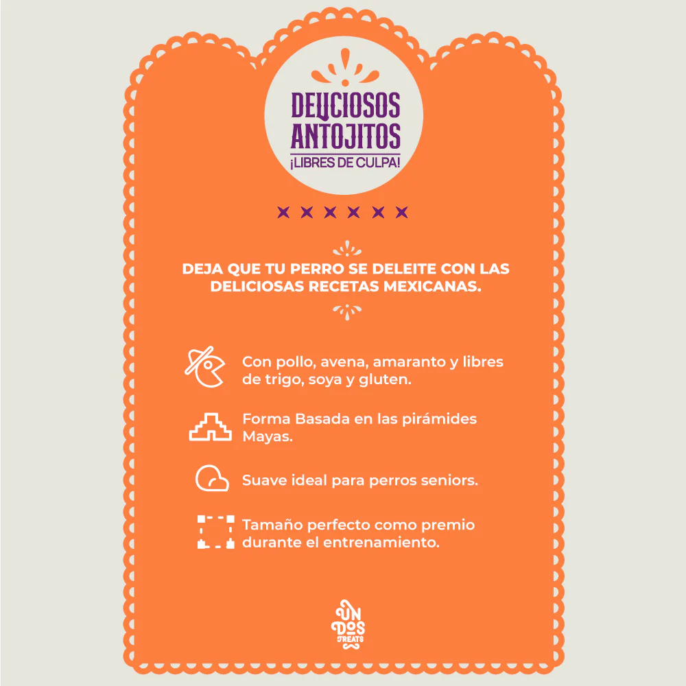 Guilt free antojitos: Enchiladas