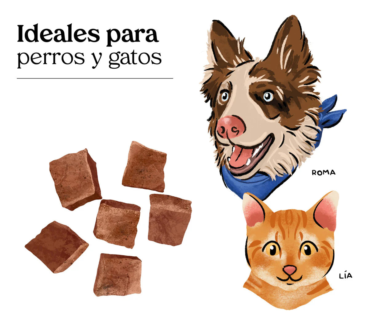 Premios de Hígado de cerdo Liofilizado / Maka / 40 gr