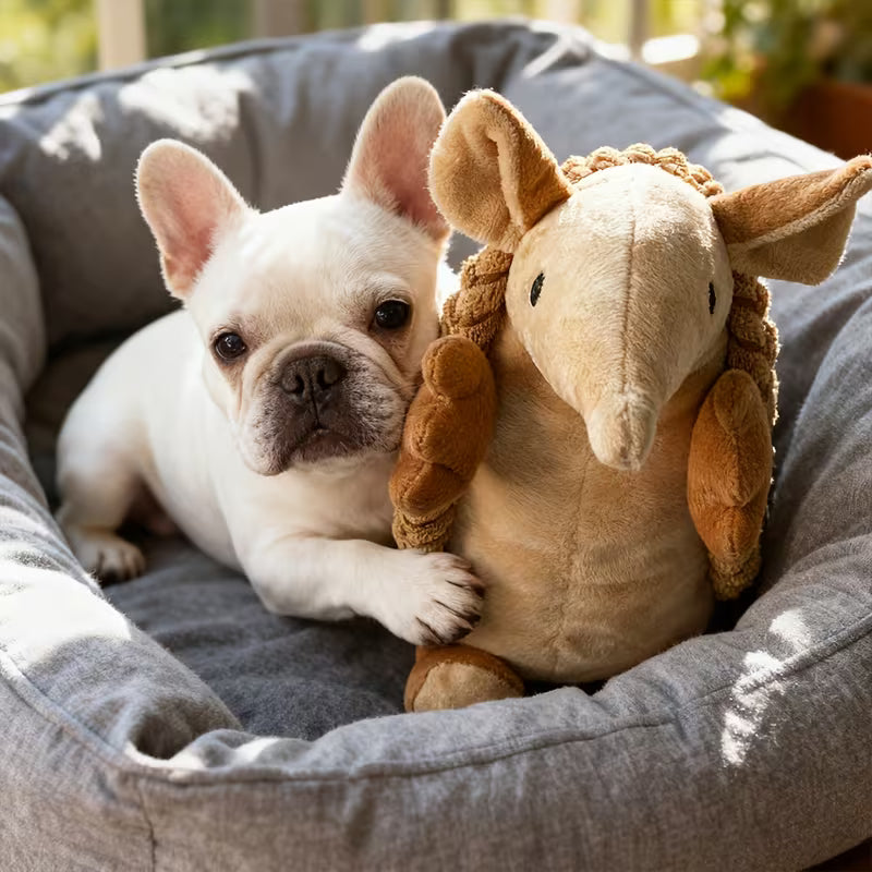 Juguete de peluche para perro / Armadillo