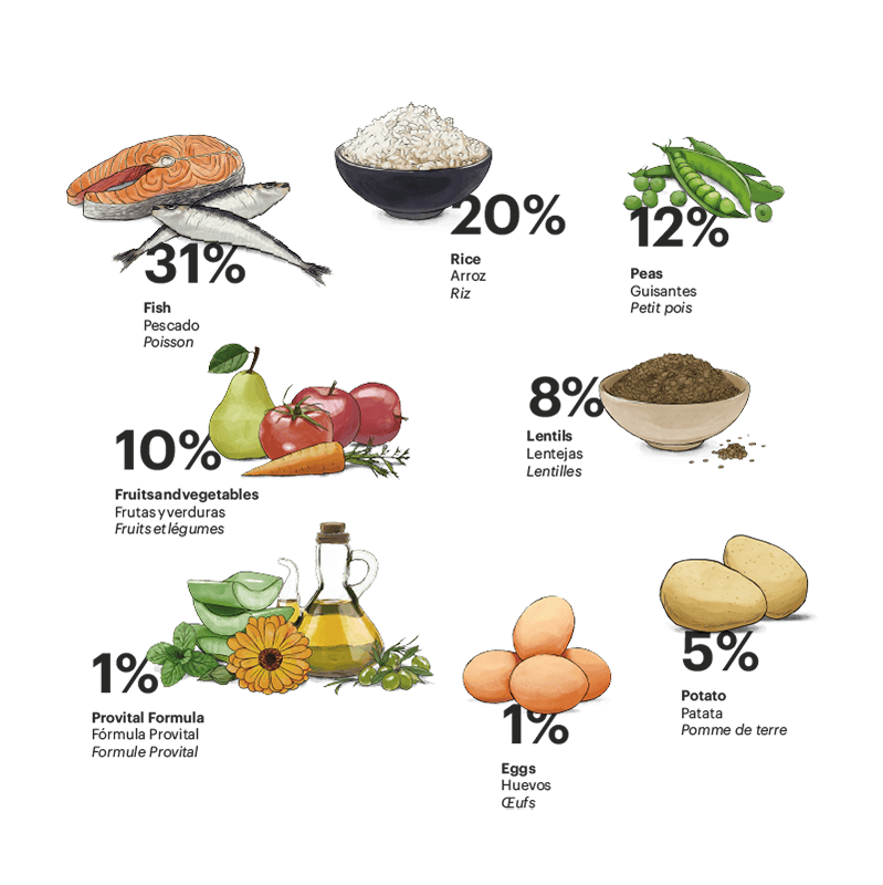 Alimento para perro / Gosbi Exclusive adulto / Salmón y pescado / 3 kg