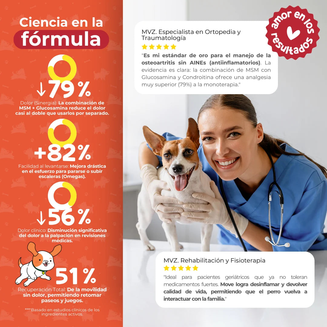 Waggy’s Move – Suplemento Articular para Perros