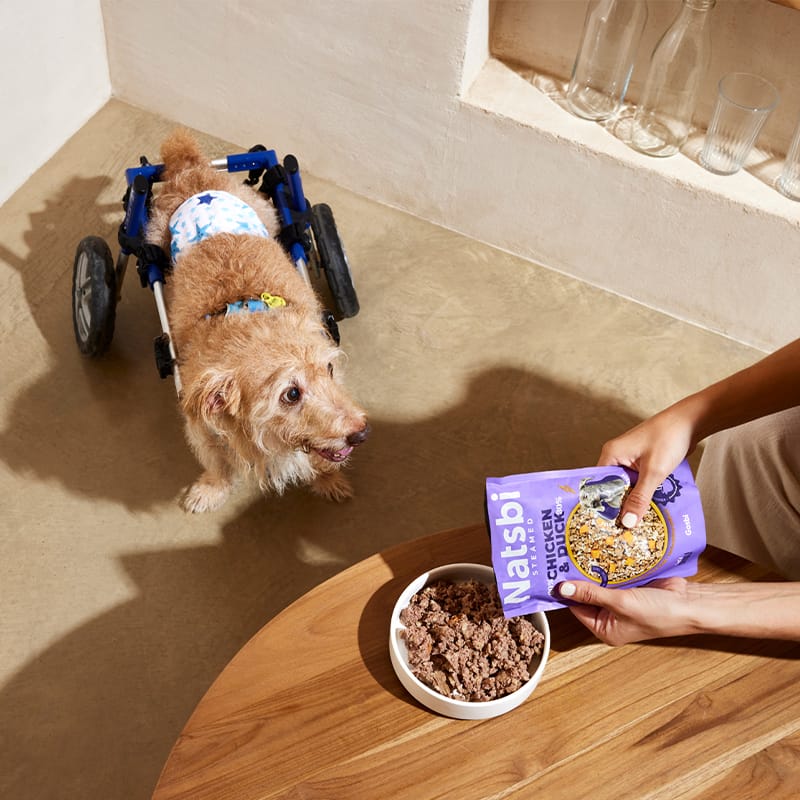 Gosbi Steamed Pollo y Pato – Alimento Completo al Vapor para Perros