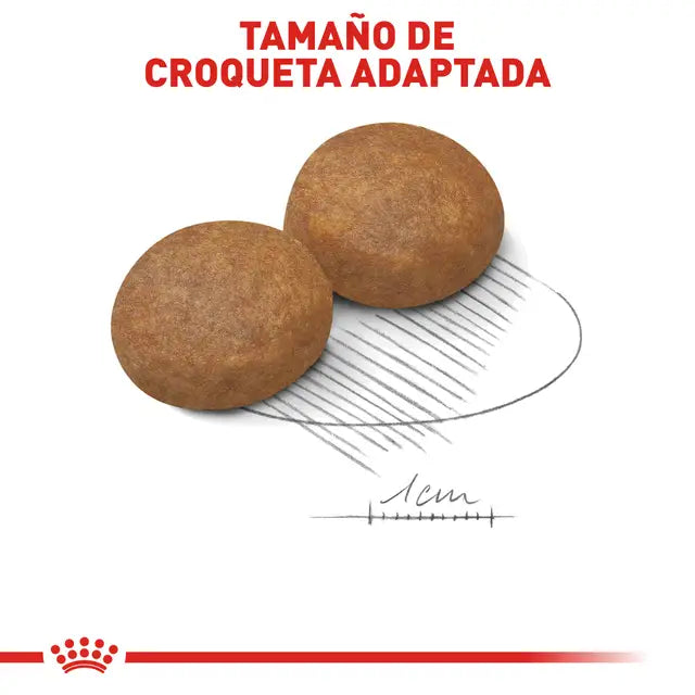 Royal Canin Adulto Raza Mediana – Alimento Seco para Perro