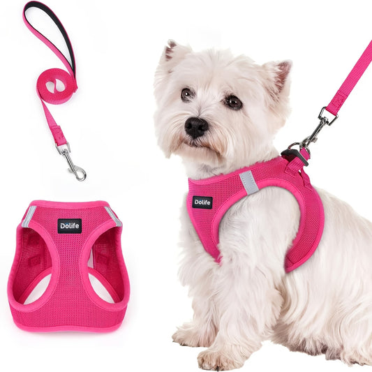 Dölife Arnés Reflectante con Correa para Perro y Gato – Magenta Talla L