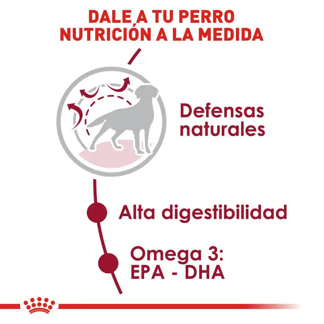 Royal Canin Adulto Raza Mediana – Alimento Seco para Perro