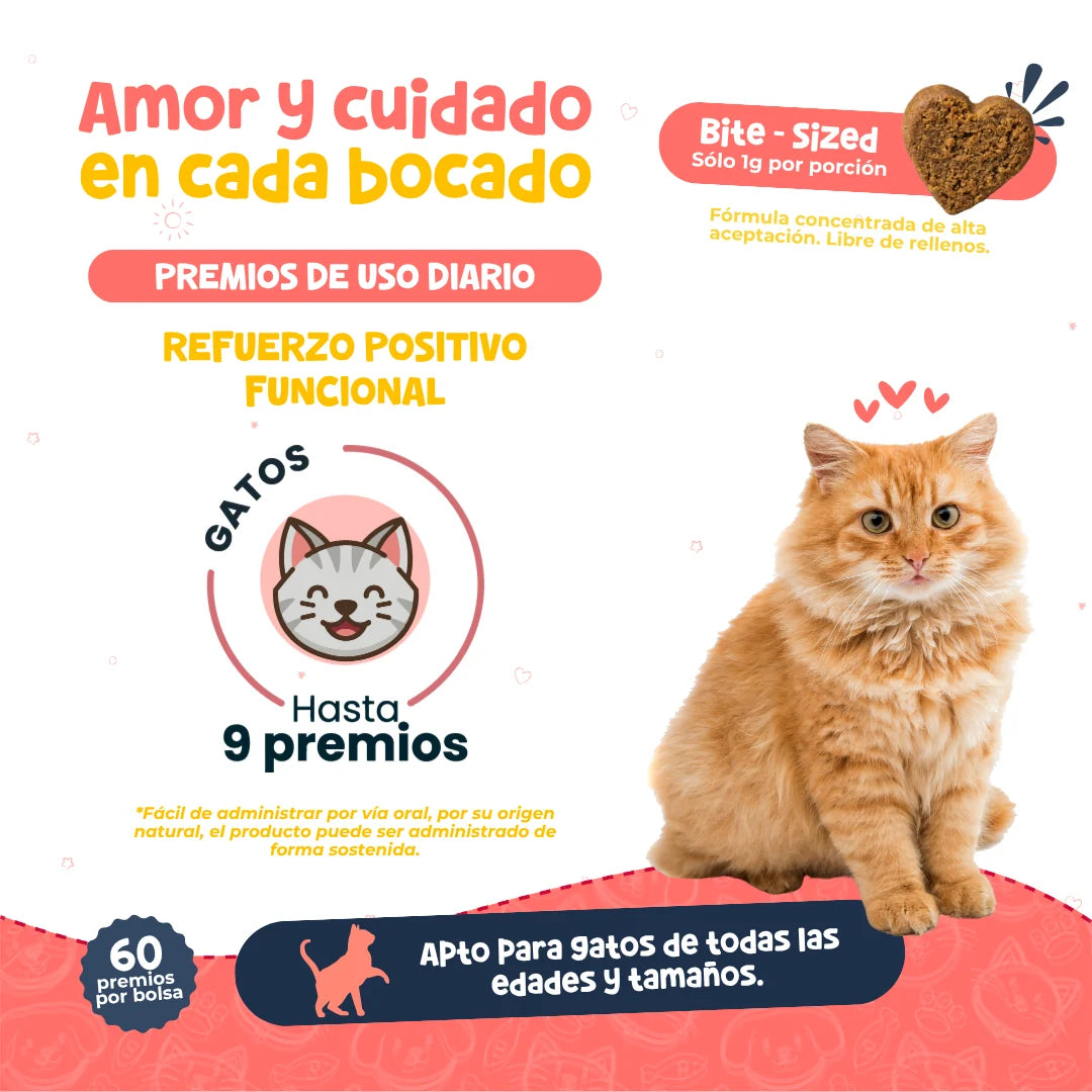 Waggy’s Bites Salmón para Gatos – Premios Naturales y Nutritivos