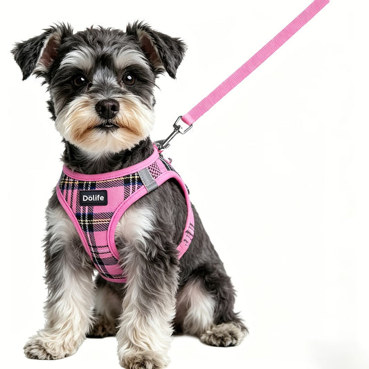 Dölife Arnés Reflectante con Correa para Perro y Gato – Rosa Talla M