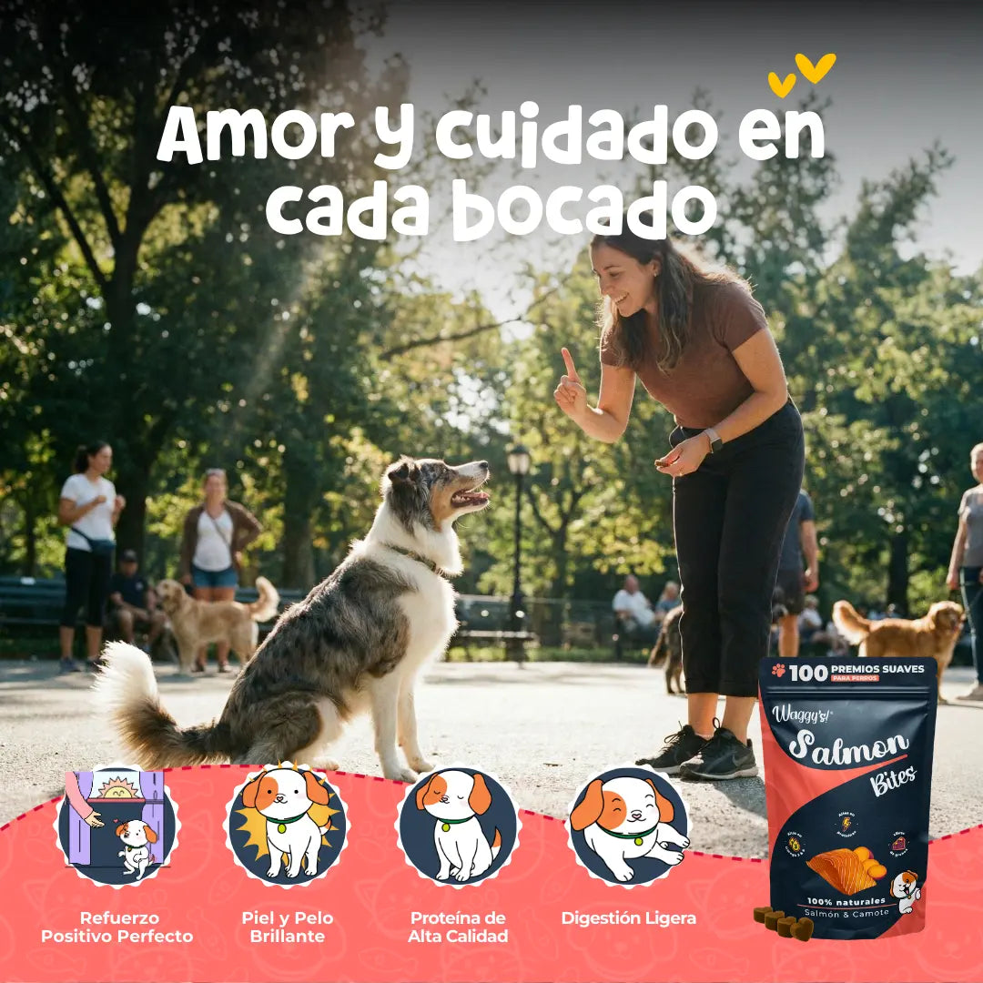 Waggy’s Bites Salmón – Masticables Suaves Naturales para Entrenamiento de Perros