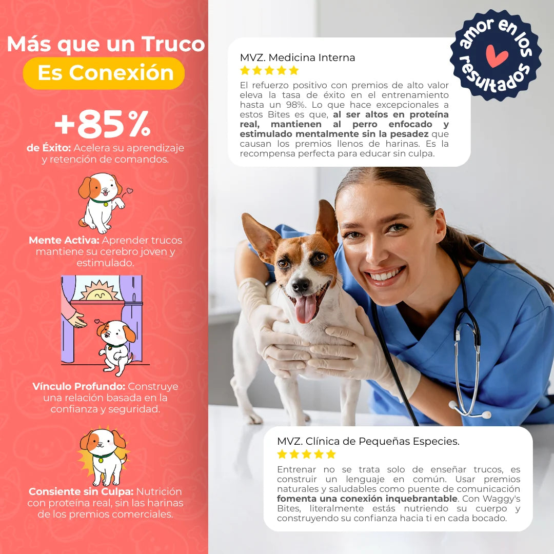Waggy’s Bites Salmón – Masticables Suaves Naturales para Entrenamiento de Perros