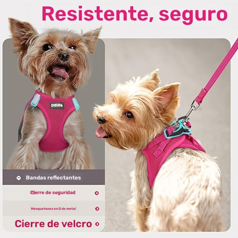Dölife Arnés Reflectante con Correa para Perro y Gato – Azul Claro Talla S