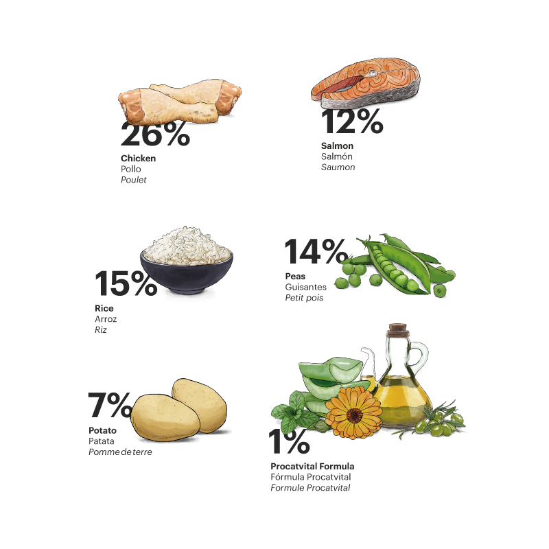 Alimento para gato / Gosbi Exclusive Gato Adulto esterilizado / Pollo y salmón / 6 kg