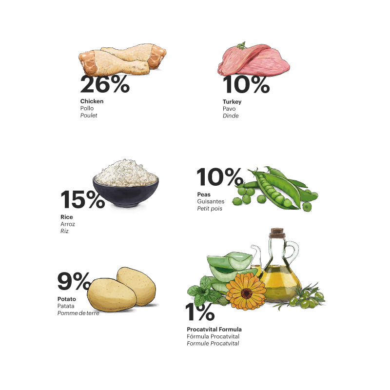 Alimento para gato / Gosbi Exclusive Gato Adulto / Pollo y pavo / 400 gr