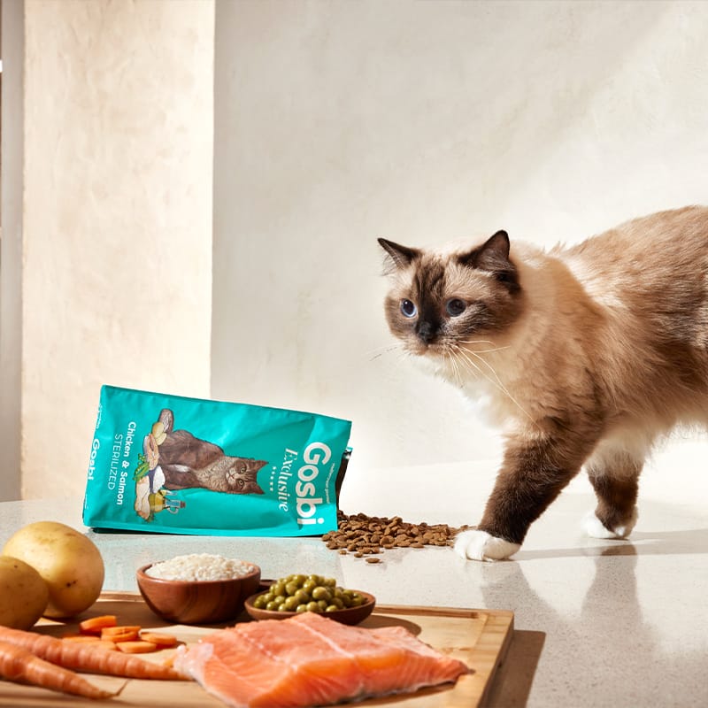 Alimento para gato / Gosbi Exclusive Gato Adulto esterilizado / Pollo y salmón / 6 kg