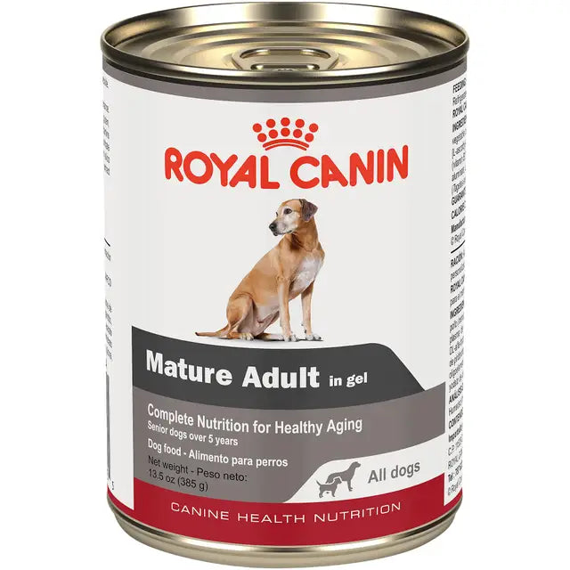 Royal Canin Adulto Mayor 8+ – Alimento Húmedo para Perro