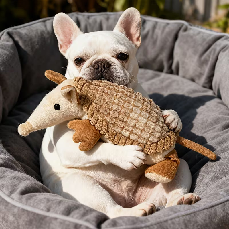 Juguete de peluche para perro / Armadillo