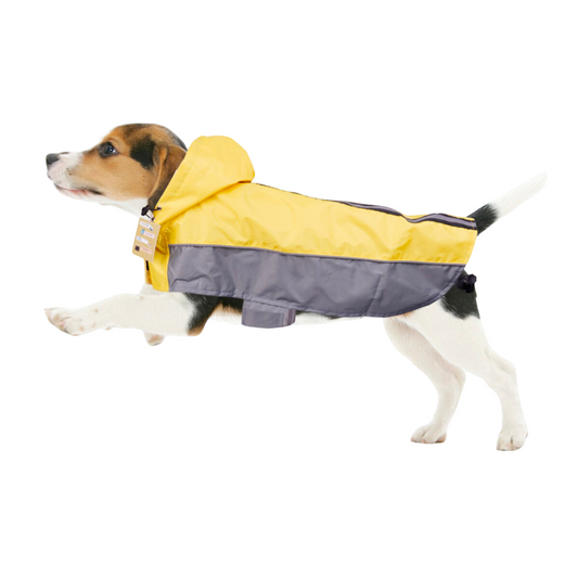 Impermeable para perro / Raza Mediana
