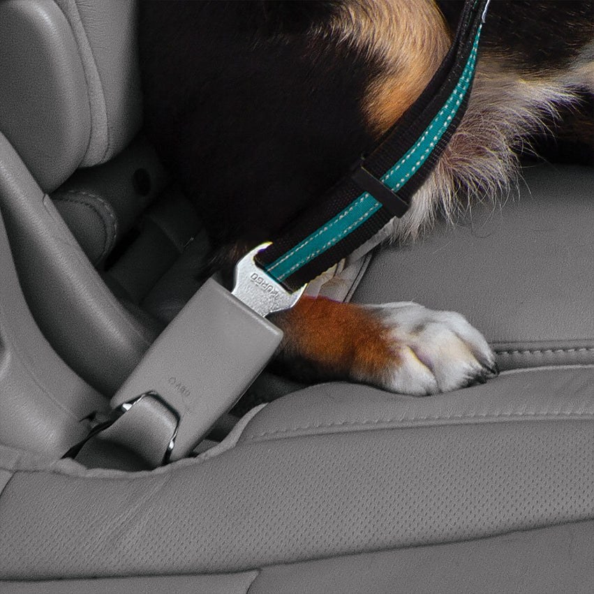 Cinturón Giratorio de Seguridad Para Perros / Kurgo® Direct to Seat belt Swivel Tether