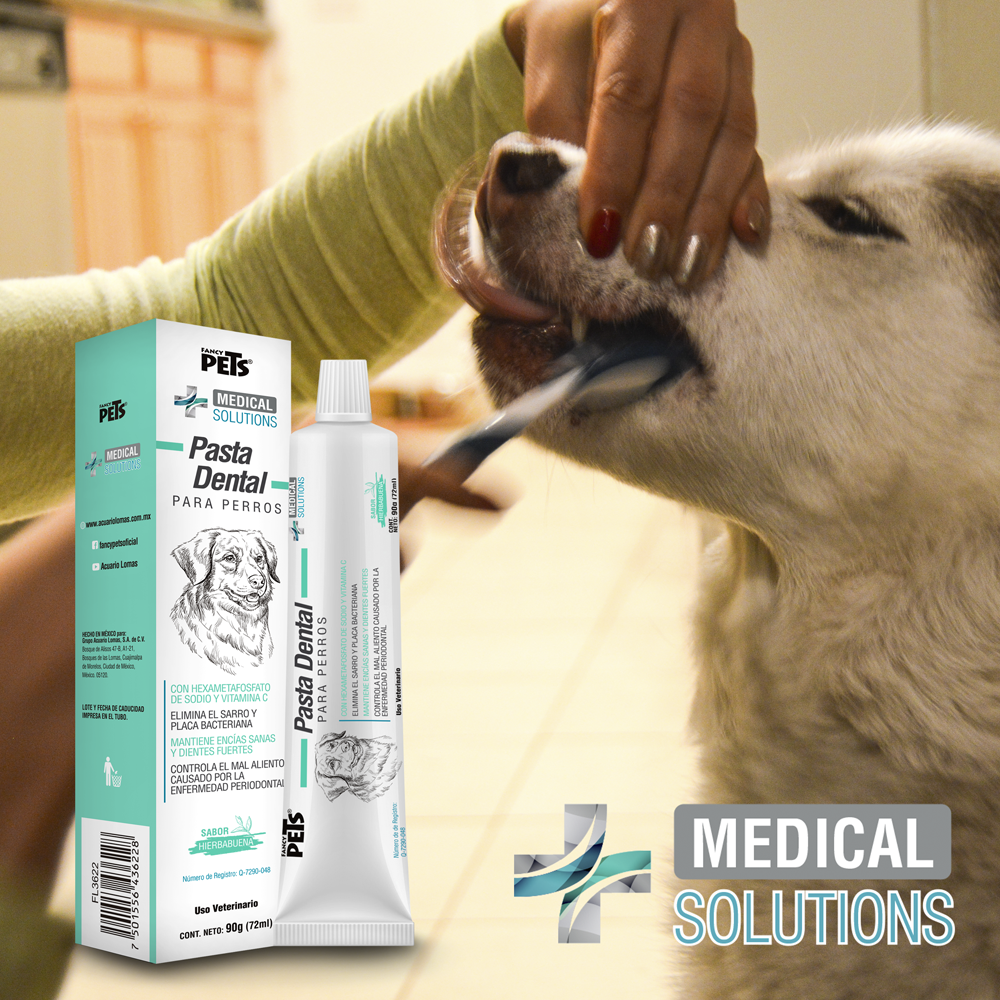 Pasta para dientes para perro / Medical Solutions / 90 gr