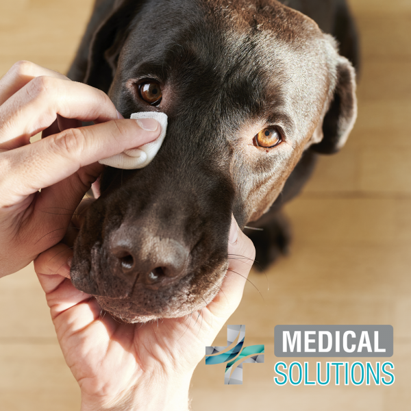 Toallitas limpiadoras para ojos / Medical solutions / 80 toallitas