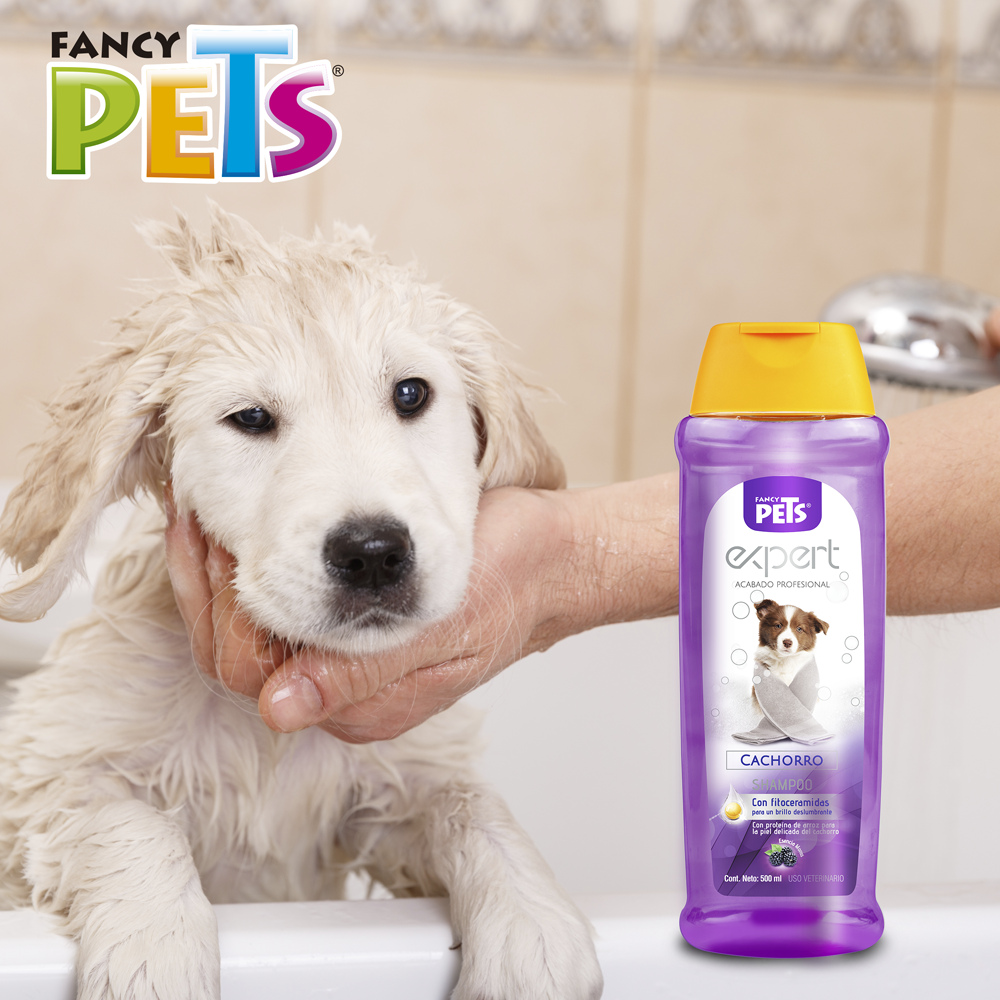 Shampoo para cachorro / Fancy Pets / 500 ml