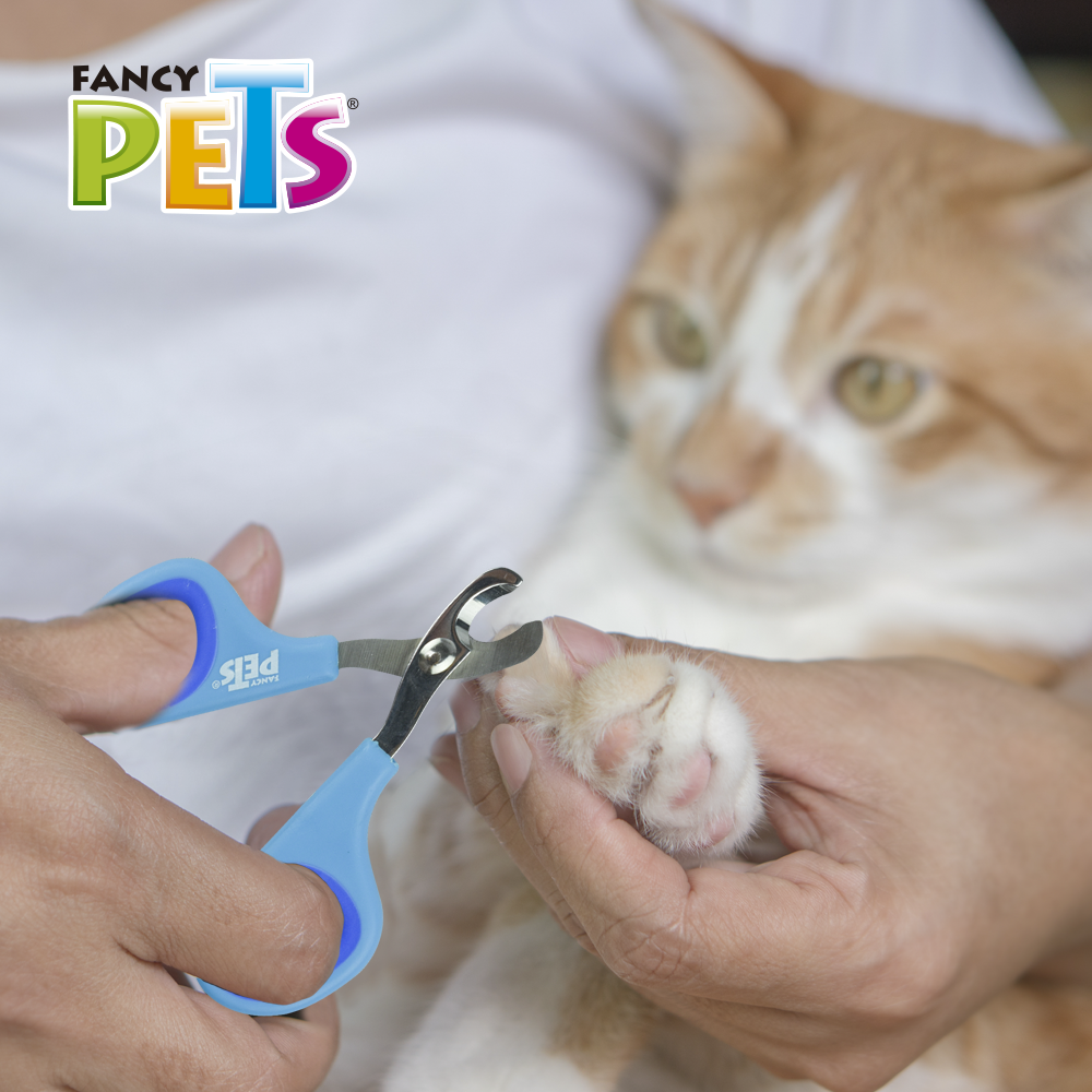 Corta uñas para gato chico / Fancy Pets