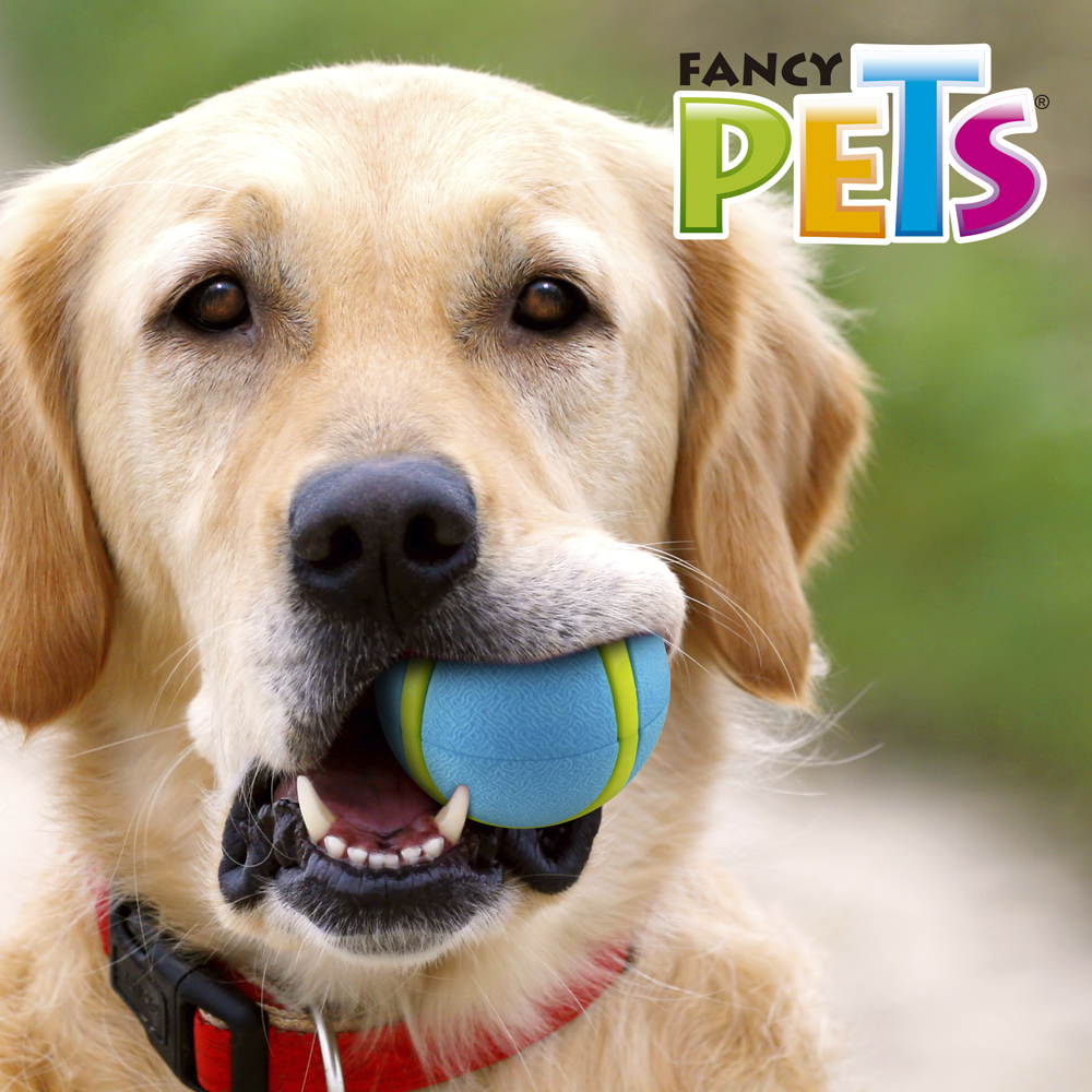 Pelota Sport Fetch / Fancy pets