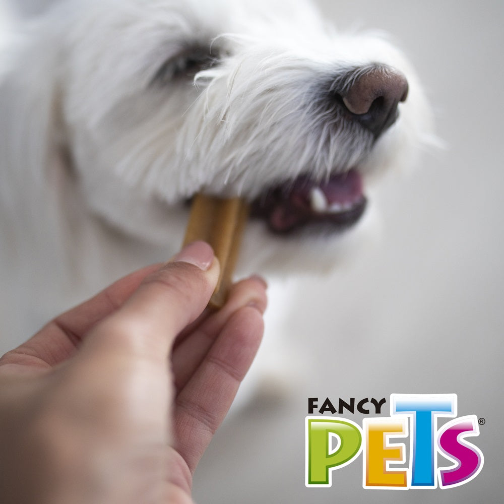 Yummy sticks / Sabor carne / Fancy Pets