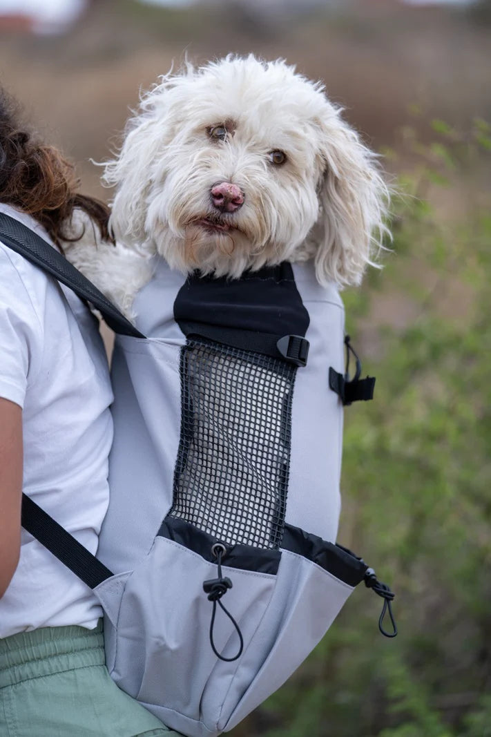 Mochila súper ligera / Sierra Dog Pack / Negra