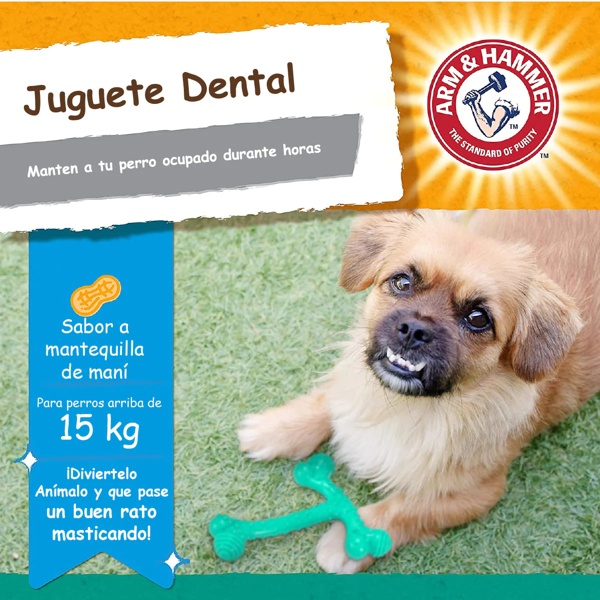 Juguete para perro / Hueso T / Arm & Hammer