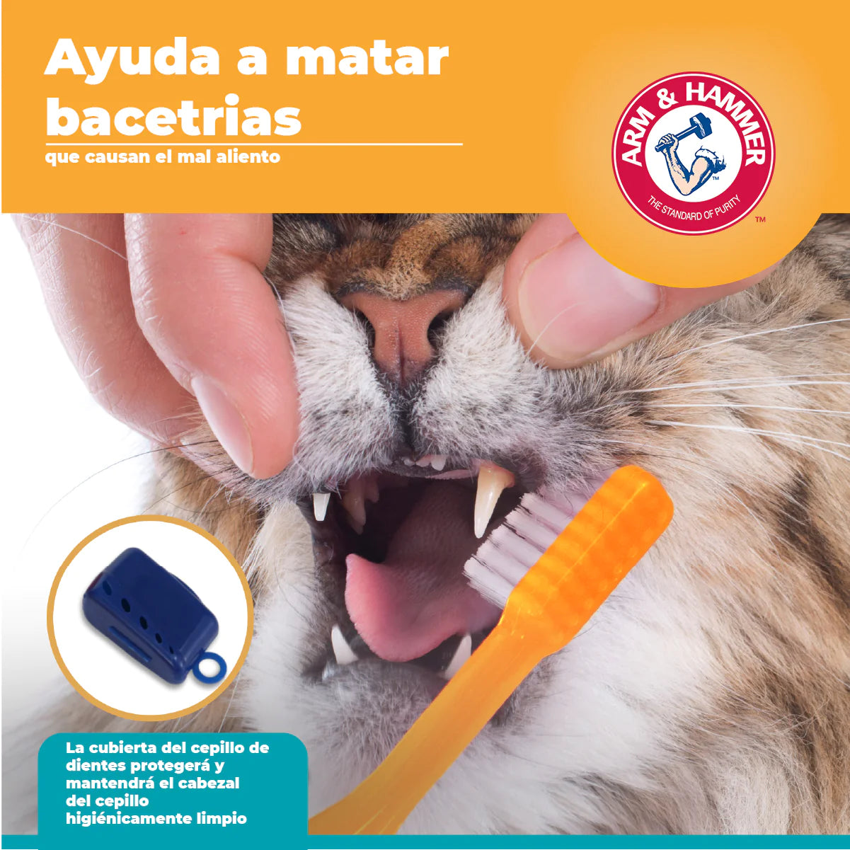 Kit de pasta dental para gato / Sabor Atún / Arm & Hammer