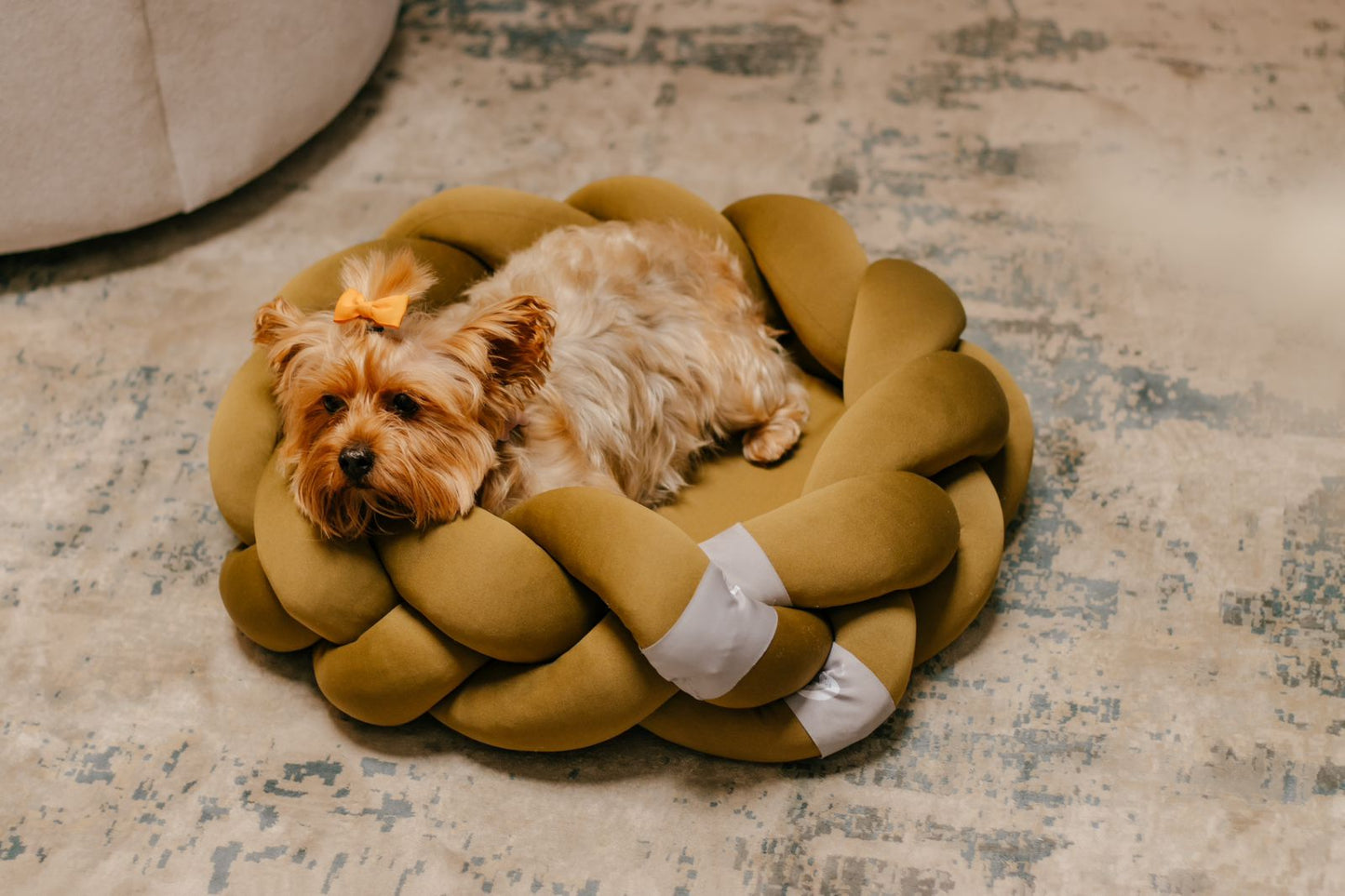 Cama para perro / Copo de luna / Chica