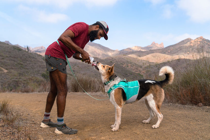 Hi & Light® Collar Ultraligero en Verde Menta (Sage Green) de Ruffwear