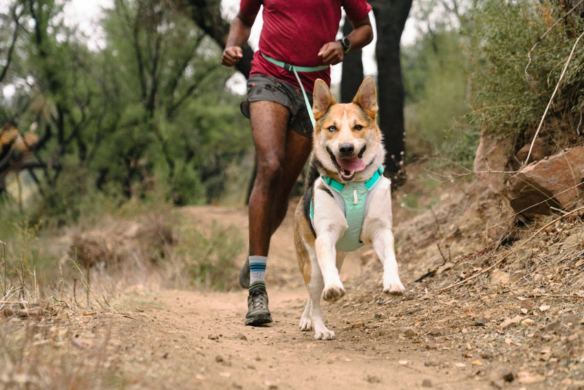 Hi & Light® Collar Ultraligero en Verde Menta (Sage Green) de Ruffwear