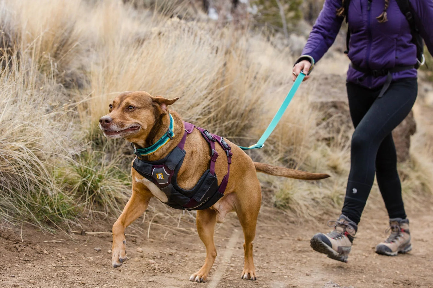 Web Master Harness® / Pechera Multiusos con Asa / Azul Piedra (Blue Slate) / Ruffwear