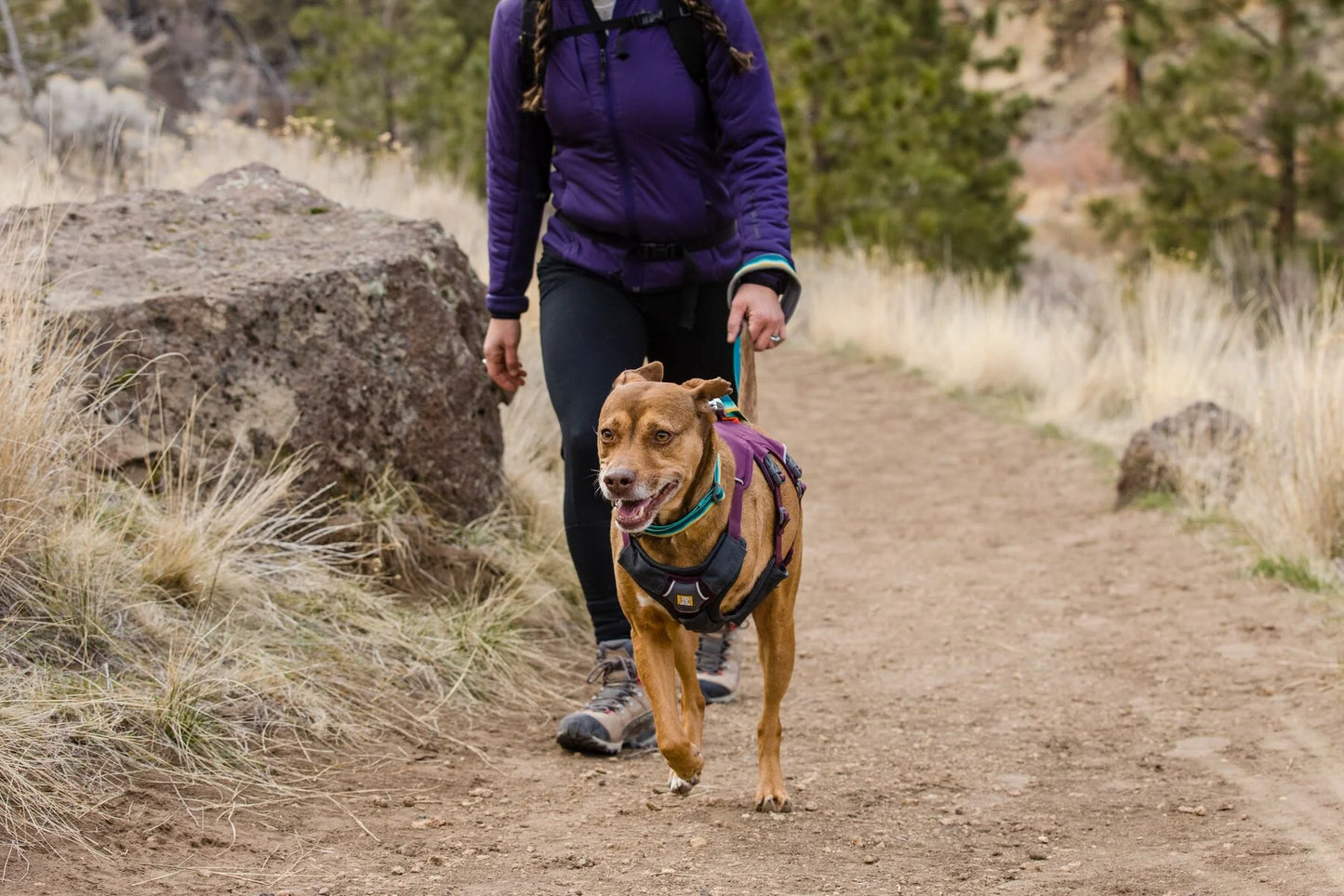 Web Master Harness® / Pechera Multiusos con Asa / Azul Piedra (Blue Slate) / Ruffwear