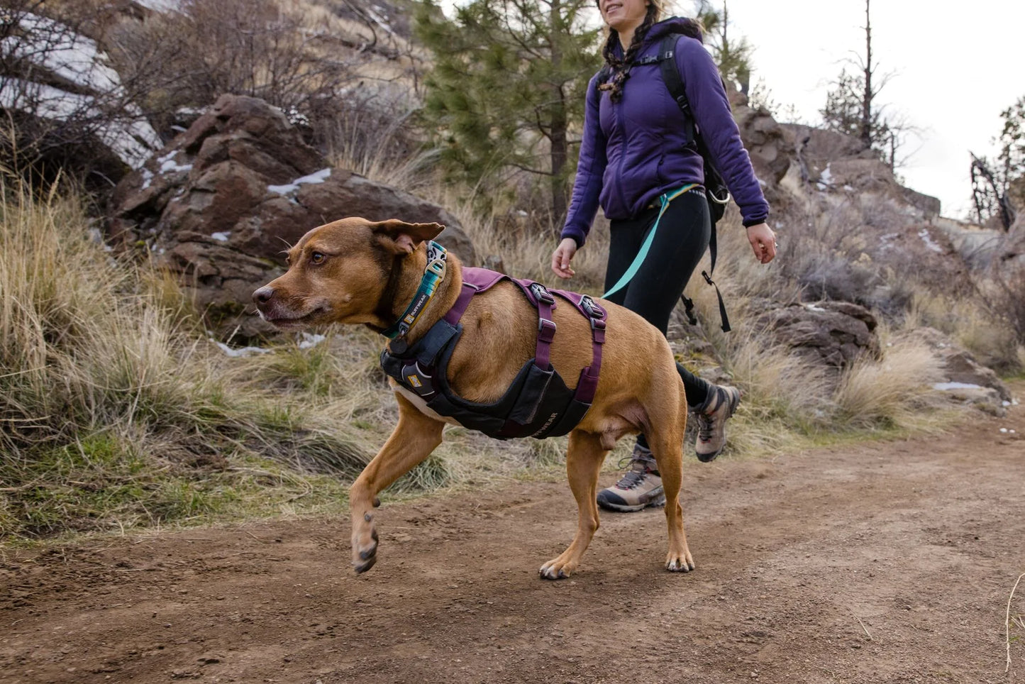 Web Master Harness® / Pechera Multiusos con Asa / Azul Piedra (Blue Slate) / Ruffwear