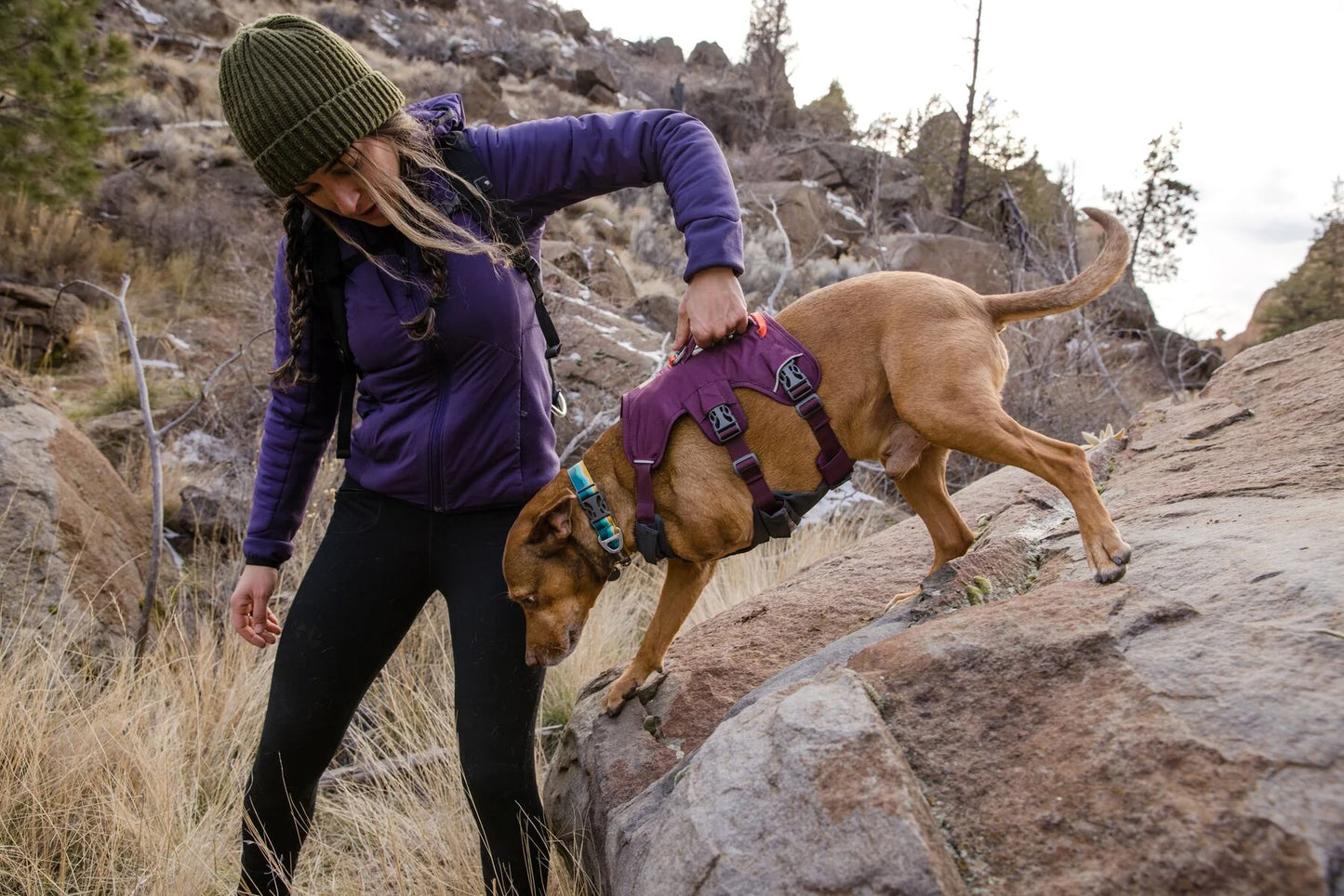 Web Master Harness® / Pechera Multiusos con Asa / Azul Piedra (Blue Slate) / Ruffwear