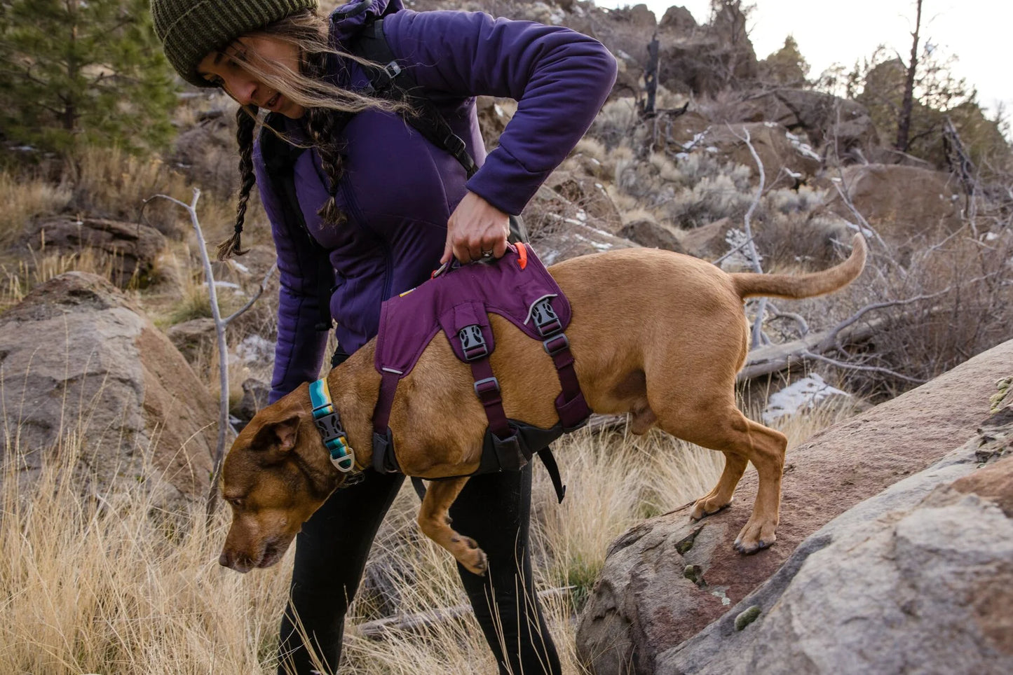 Web Master Harness® / Pechera Multiusos con Asa / Azul Piedra (Blue Slate) / Ruffwear