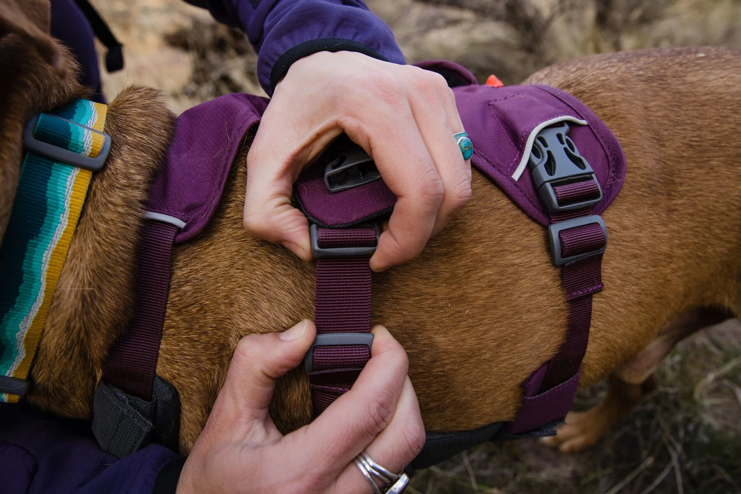 Web Master Harness® / Pechera Multiusos con Asa / Azul Piedra (Blue Slate) / Ruffwear