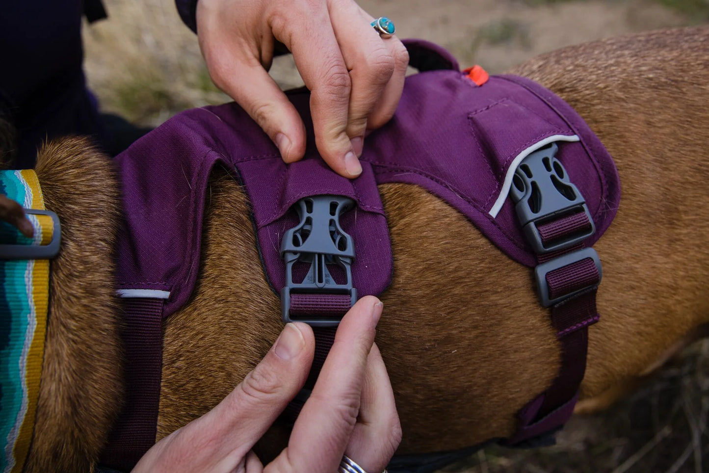 Web Master Harness® / Pechera Multiusos con Asa / Azul Piedra (Blue Slate) / Ruffwear