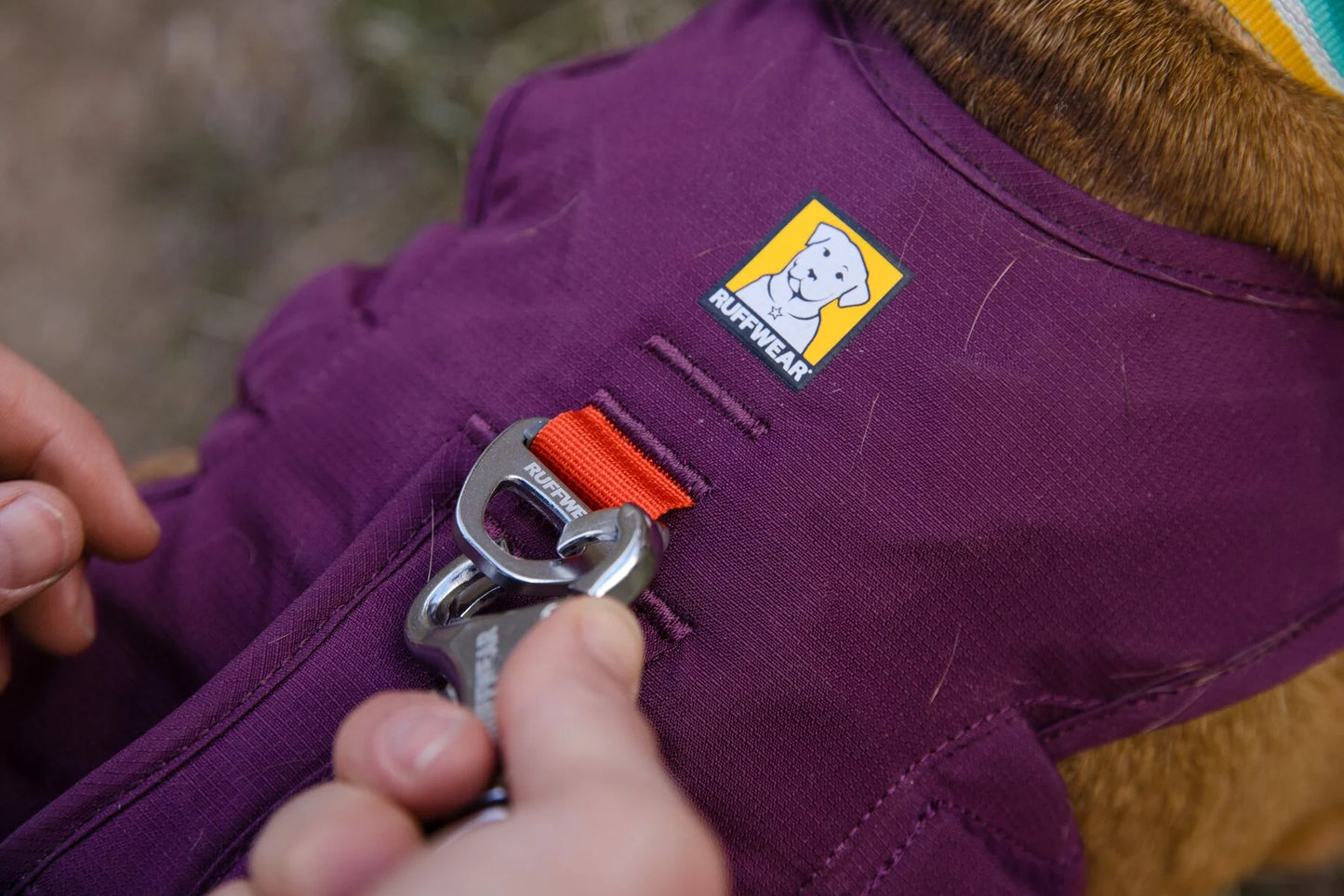 Web Master Harness® / Pechera Multiusos con Asa / Rojo (Red Sumac) / Ruffwear