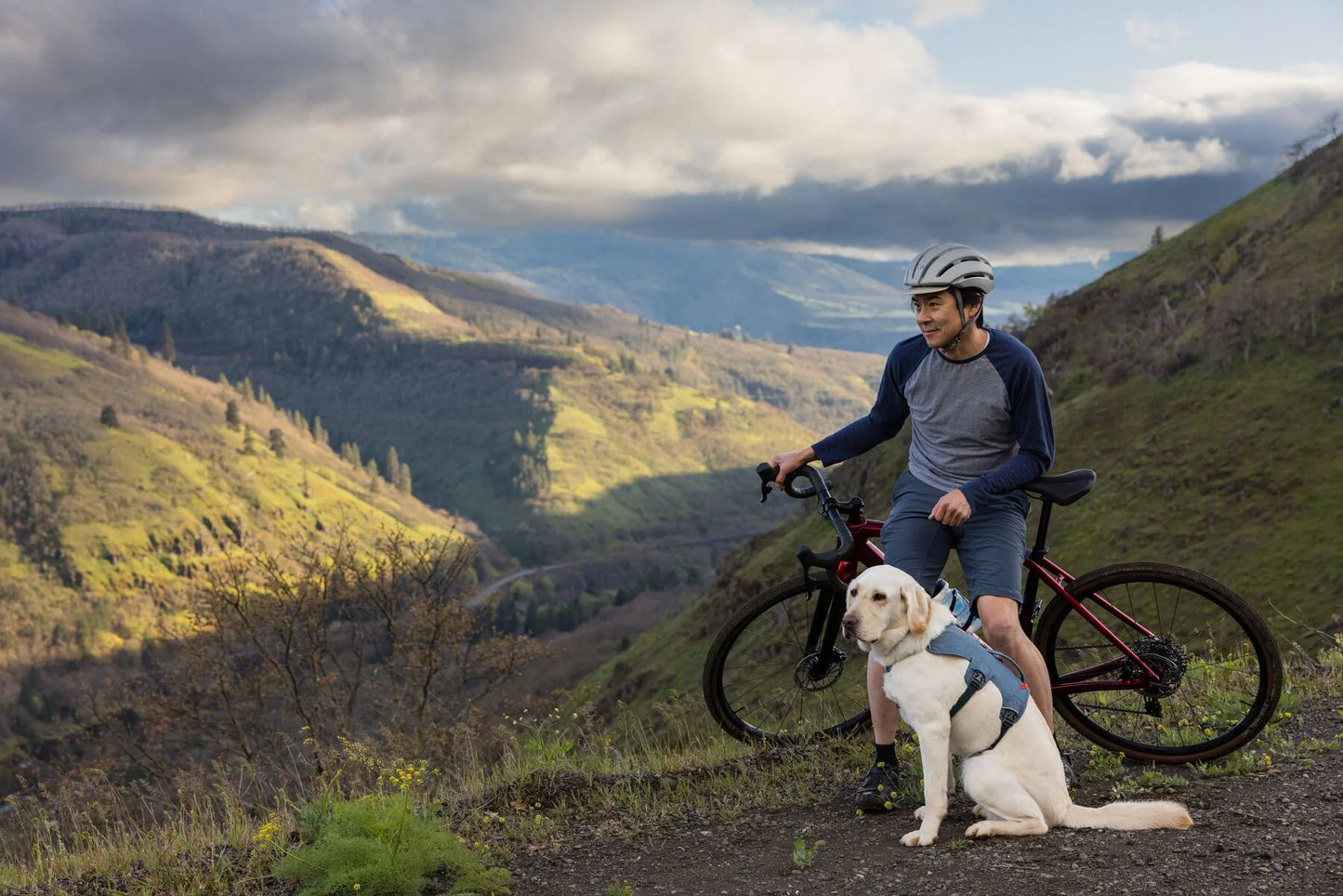 Web Master Harness® / Pechera Multiusos con Asa / Azul Piedra (Blue Slate) / Ruffwear